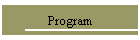 Program